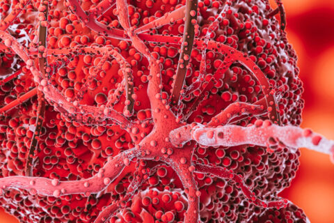 Cáncer: cuando las células olvidan las reglas