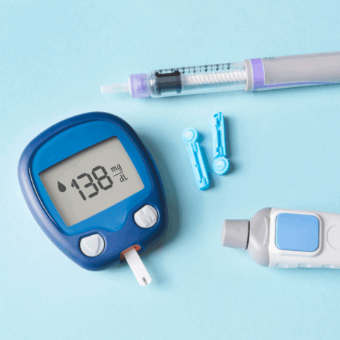 Microorganismos en el intestino y su relación con la Diabetes Tipo 2