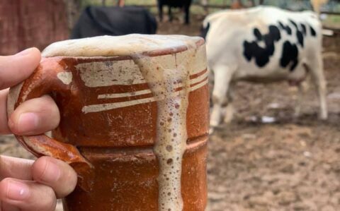 Pajarete: Una bebida tradicional con un riesgo que no puedes ignorar