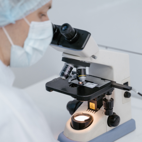 Citopatología de la peritonitis fúngica: El impacto de la vulnerabilidad social tras el microscopio