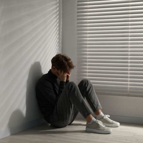 Más allá de las emociones: la depresión como un desequilibrio biológico y metabólico