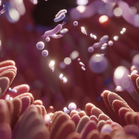 El eje intestino-inmunidad-metabolismo como una nueva forma de entender el VIH