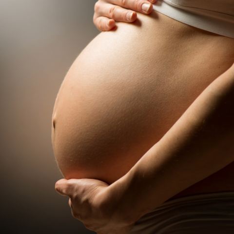 Blindaje natural: protegiendo el milagro de la vida