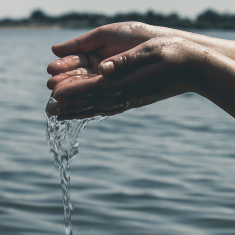 Contaminación por Arsénico en el Agua de Chihuahua: Un Riesgo para la Salud Pública