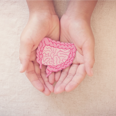 No todo es hereditario: el papel de MLH1 y la epigenética en el cáncer colorrectal