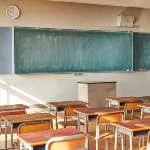 Capacidades diferentes en el aula: entre la exclusión y la oportunidad